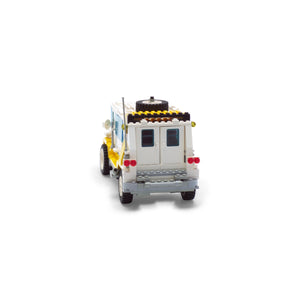 Custom Rally Van