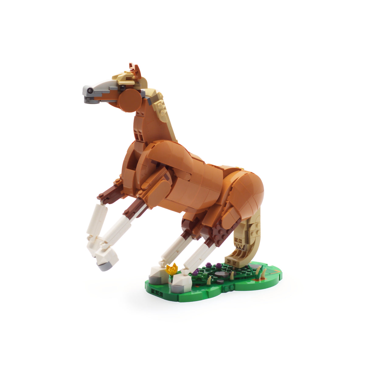 Beautiful Horse