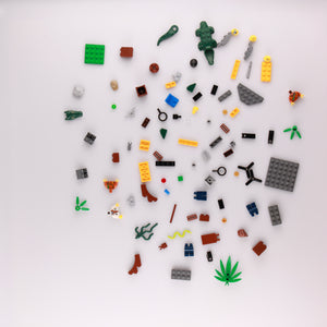 Jungle Starter Set