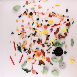 Chrysanthemum
