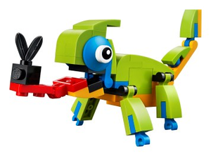 Colorful Chameleon