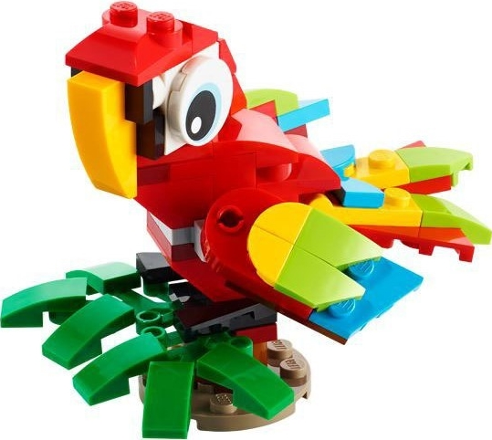 Tropical Parrot