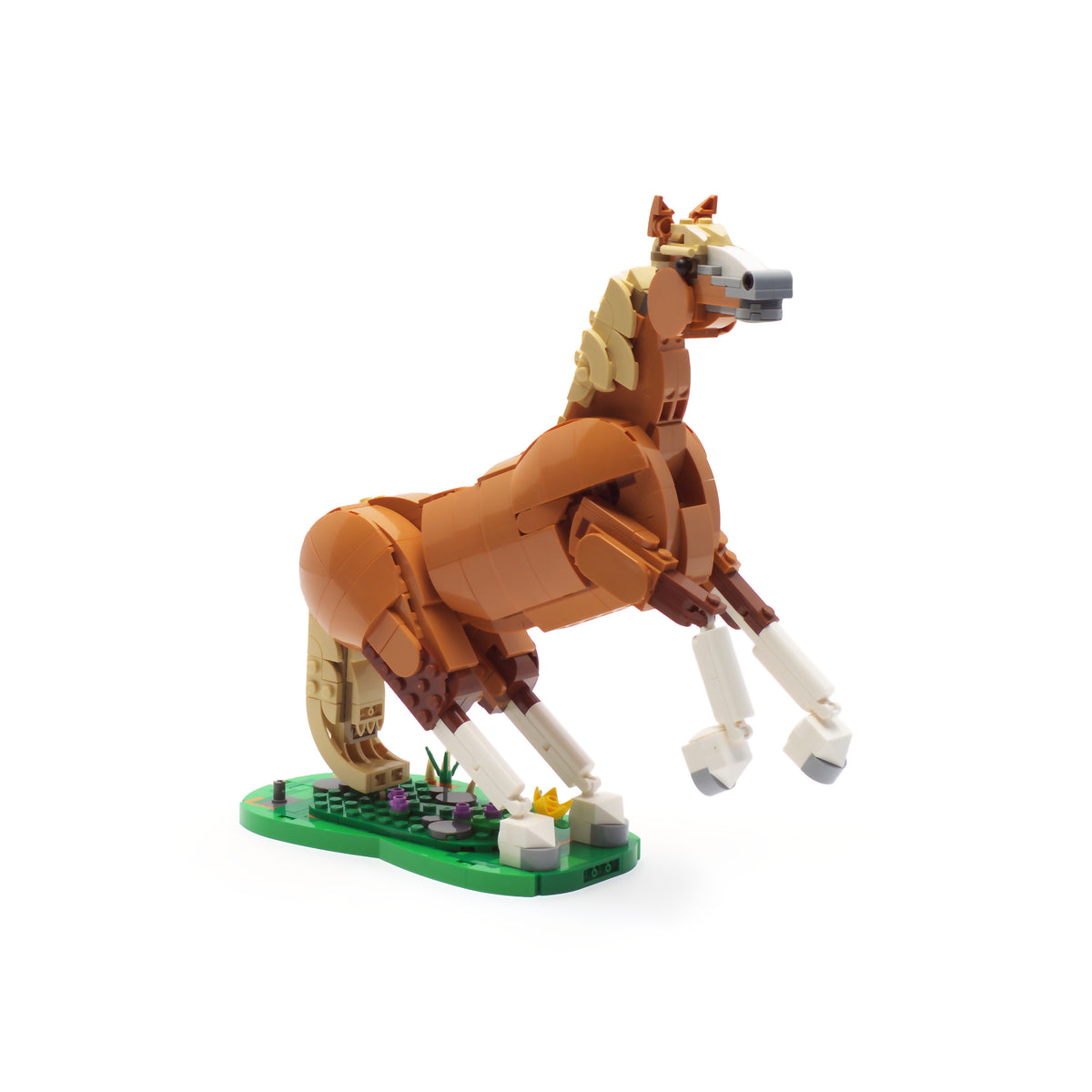 Beautiful Horse
