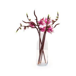 Magnolia Branches
