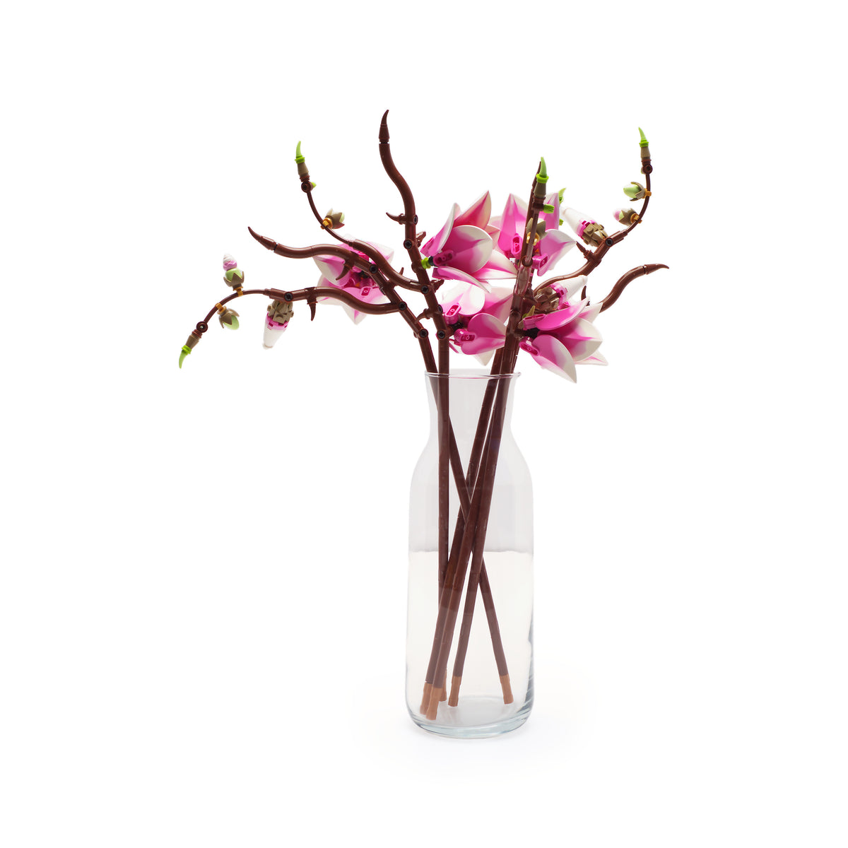 Magnolia Branches
