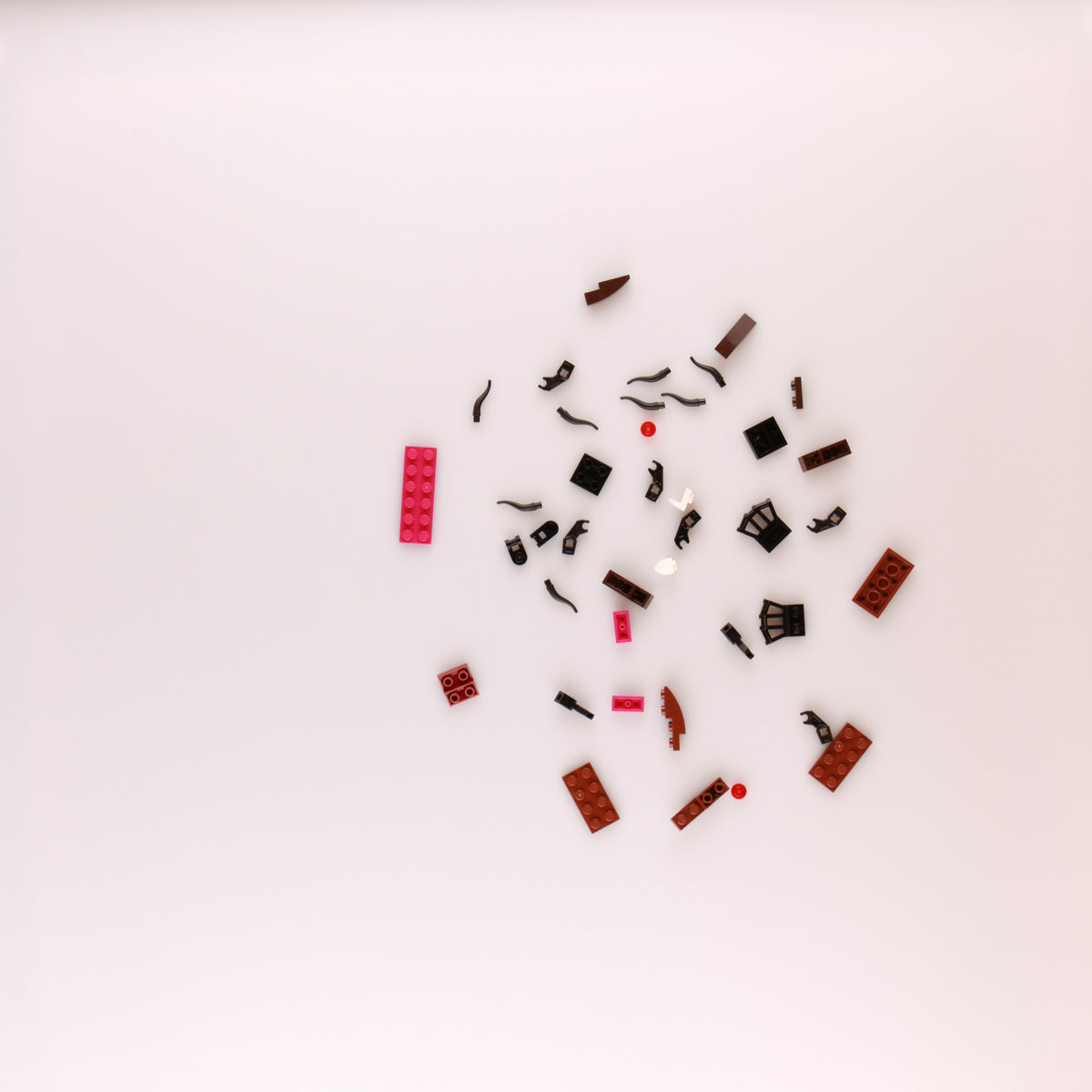 Spider polybag