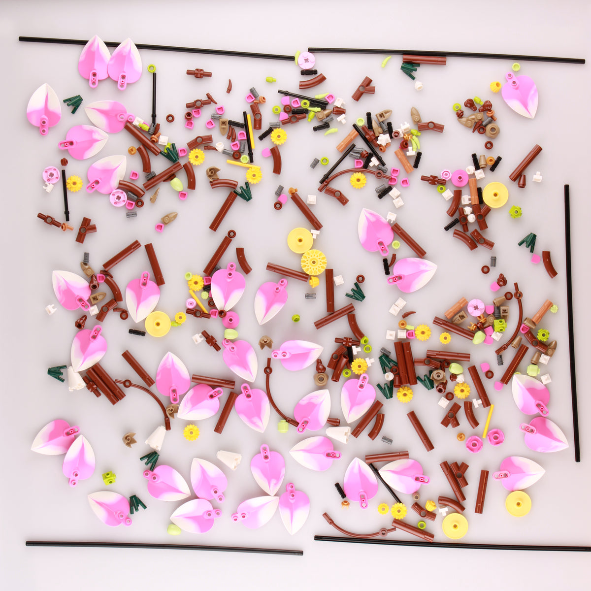 Magnolia Branches
