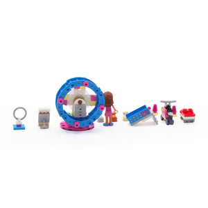 Olivia's Hamster Playground
