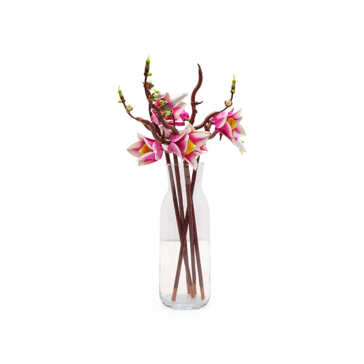 Magnolia Branches