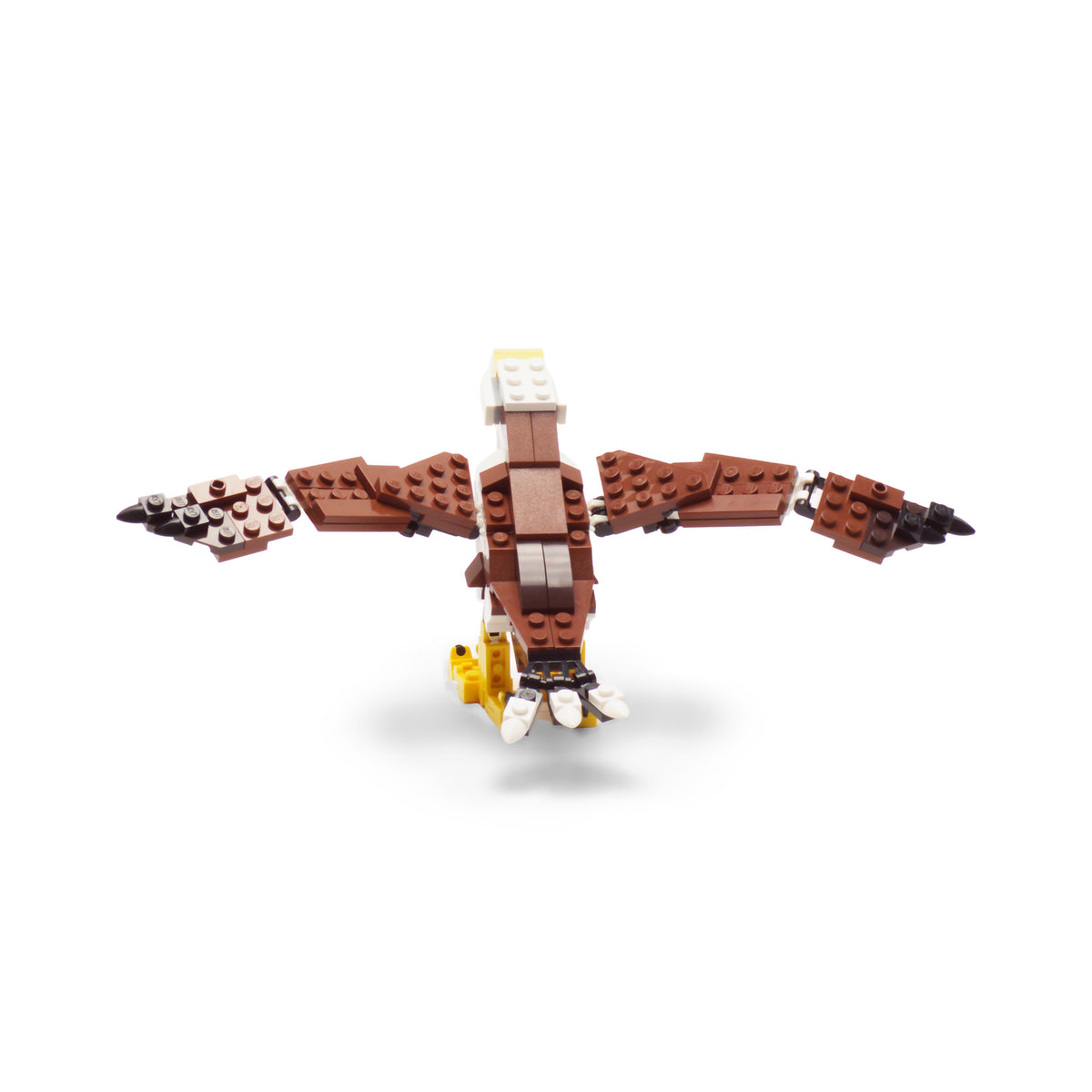 Fierce Flyer